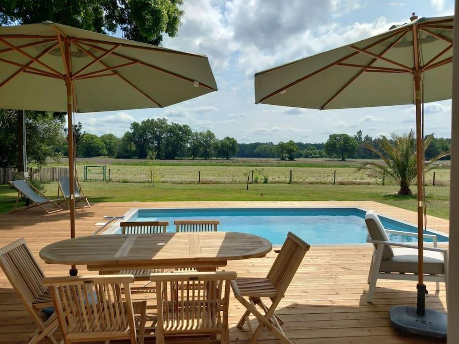 Maison Neuve Avec Piscine Chauffee, 4 Kms De Contis Plage Saint-Julien-en-Born Eksteriør bilde