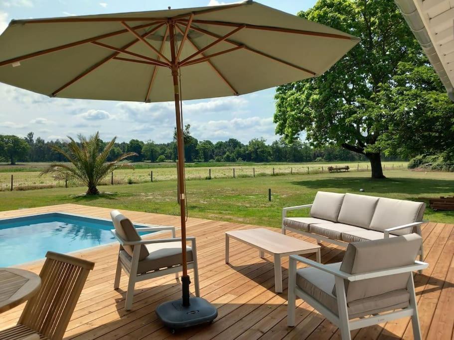 Maison Neuve Avec Piscine Chauffee, 4 Kms De Contis Plage Saint-Julien-en-Born Eksteriør bilde