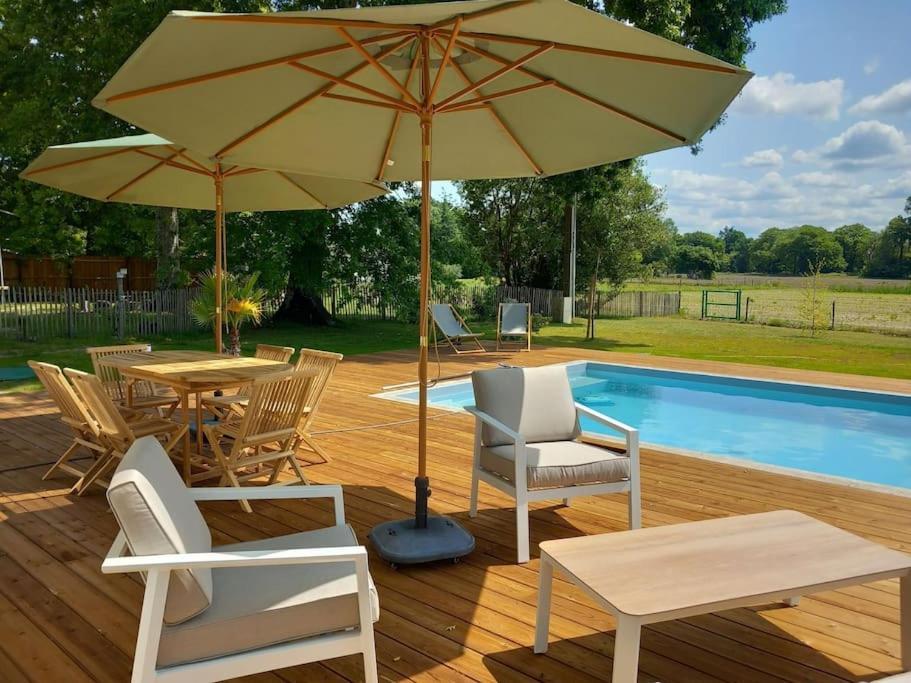 Maison Neuve Avec Piscine Chauffee, 4 Kms De Contis Plage Saint-Julien-en-Born Eksteriør bilde